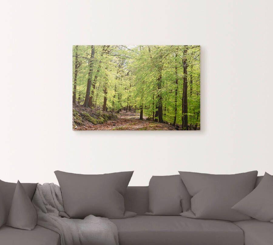 Artland Artprint De beuken in de lente als artprint van aluminium artprint voor buiten artprint op linnen poster muursticker