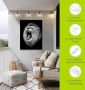 Artland Artprint De leeuw als artprint van aluminium artprint voor buiten artprint op linnen poster muursticker - Thumbnail 7