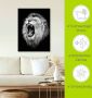 Artland Artprint De leeuw als artprint van aluminium artprint voor buiten artprint op linnen poster muursticker - Thumbnail 5