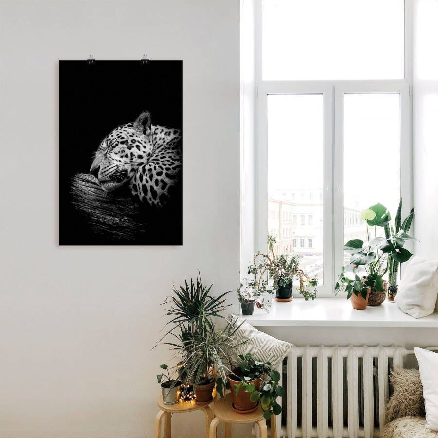 Artland Artprint De slapende jaguar als artprint van aluminium artprint voor buiten artprint op linnen poster in verschillende maten. maten