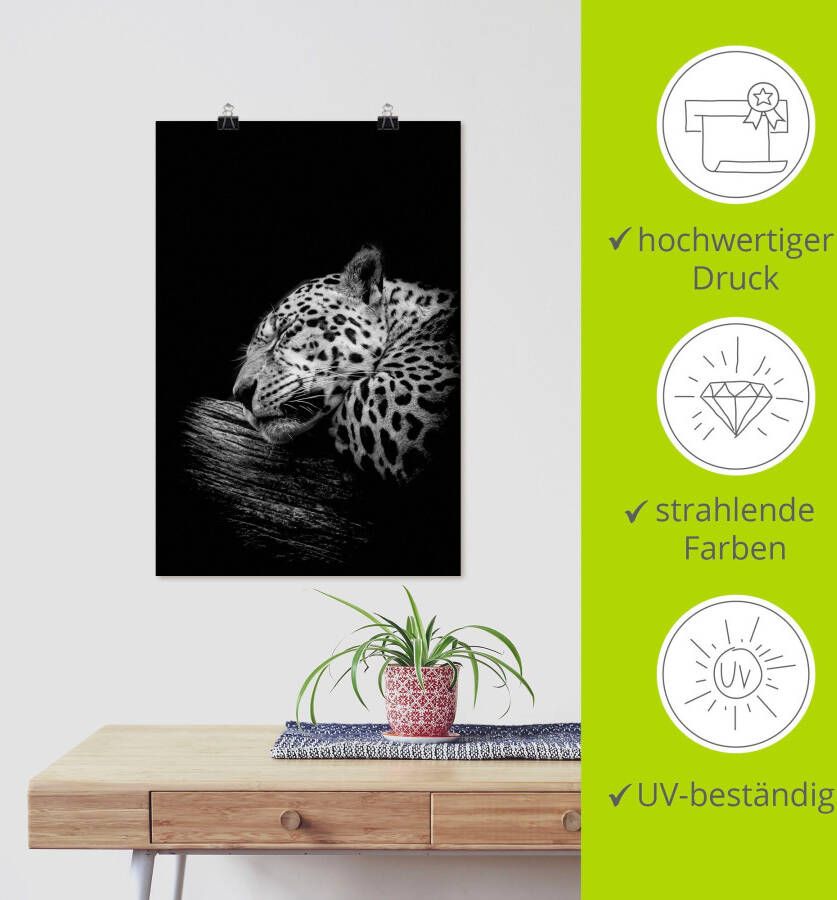 Artland Artprint De slapende jaguar als artprint van aluminium artprint voor buiten artprint op linnen poster in verschillende maten. maten