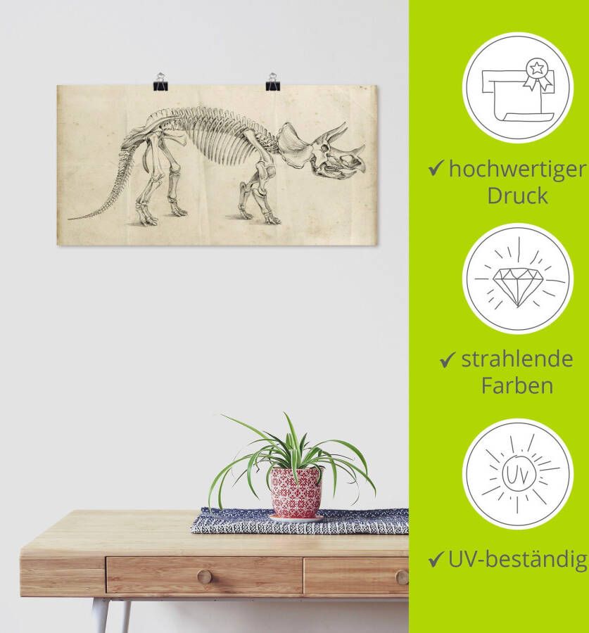 Artland Artprint Dinosauria leer II als artprint van aluminium artprint voor buiten poster in diverse formaten