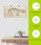 Artland Artprint Dinosauria leer II als artprint van aluminium artprint voor buiten poster in diverse formaten - Thumbnail 6