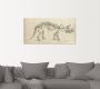 Artland Artprint Dinosauria leer II als artprint van aluminium artprint voor buiten poster in diverse formaten - Thumbnail 5