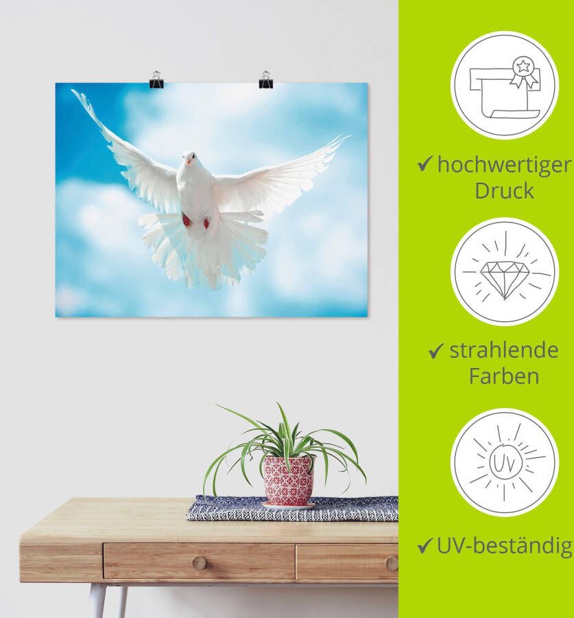 Artland Artprint Duif met gespreide vleugels als artprint van aluminium artprint voor buiten artprint op linnen poster in verschillende maten. maten