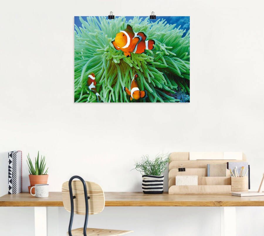 Artland Artprint Finding Nemo als poster muursticker in verschillende maten