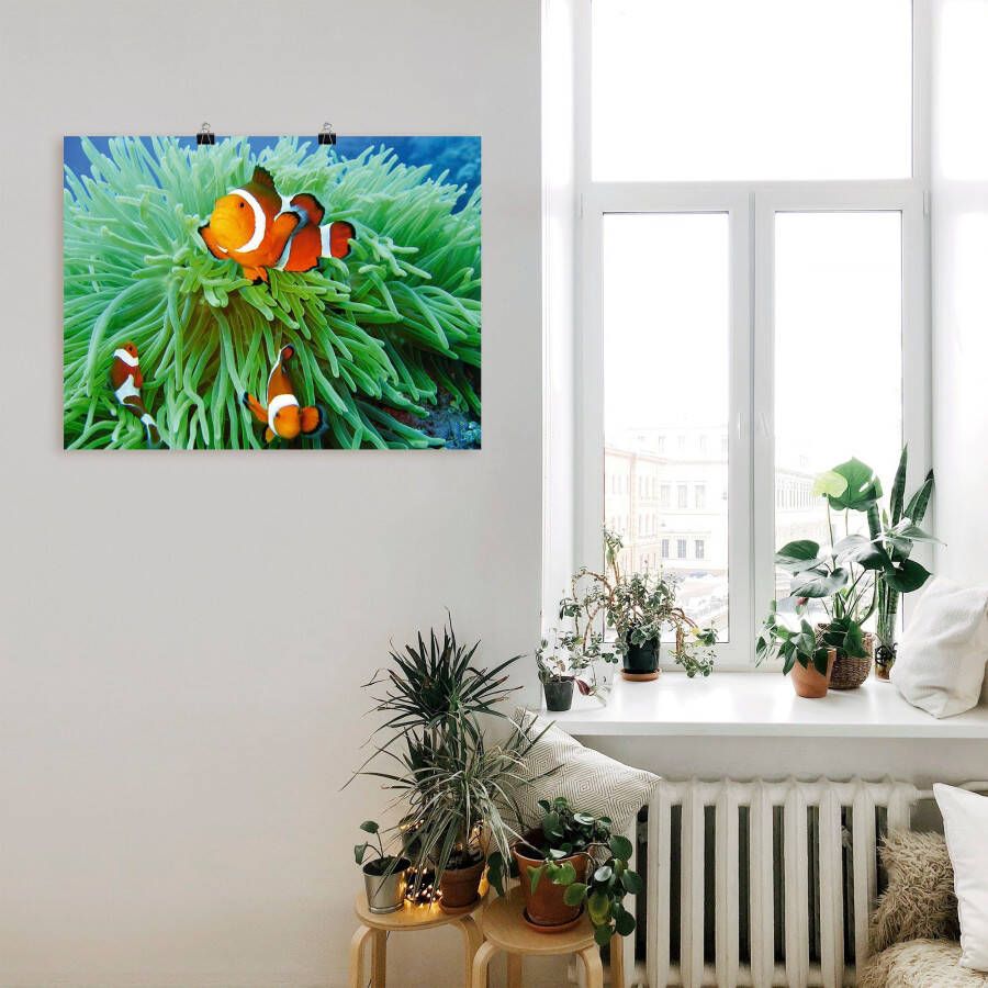 Artland Artprint Finding Nemo als poster muursticker in verschillende maten