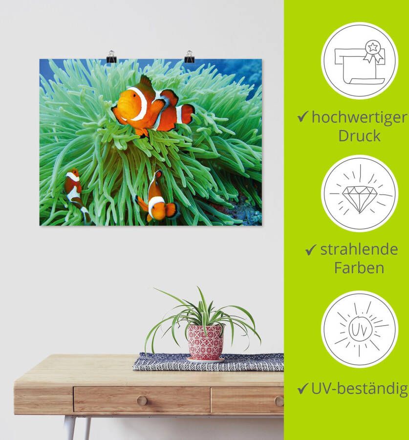 Artland Artprint Finding Nemo als poster muursticker in verschillende maten