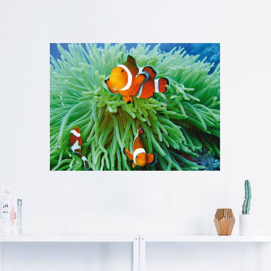 Artland Artprint Finding Nemo als poster muursticker in verschillende maten