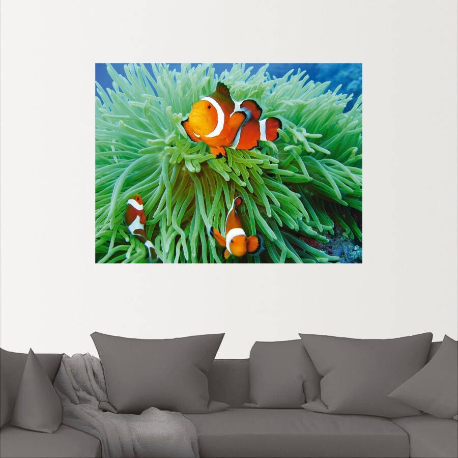 Artland Artprint Finding Nemo als poster muursticker in verschillende maten