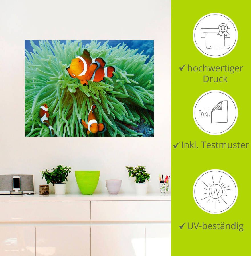 Artland Artprint Finding Nemo als poster muursticker in verschillende maten