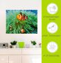 Artland Artprint Finding Nemo als poster muursticker in verschillende maten - Thumbnail 5