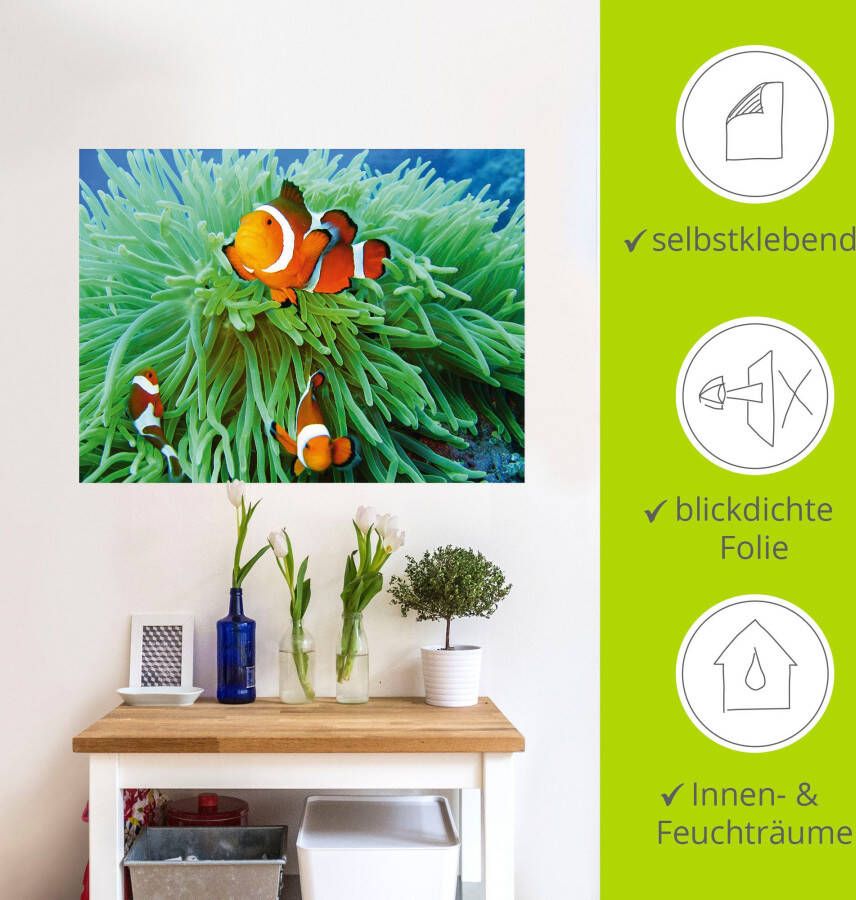 Artland Artprint Finding Nemo als poster muursticker in verschillende maten