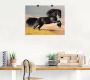 Artland Artprint Friese hengstgalop als poster in verschillende formaten maten - Thumbnail 2