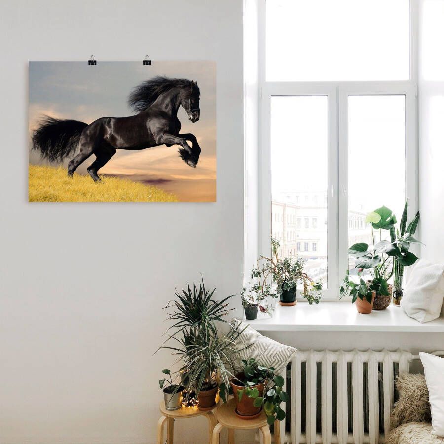 Artland Artprint Friese hengstgalop als poster in verschillende formaten maten