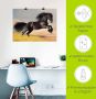 Artland Artprint Friese hengstgalop als poster in verschillende formaten maten - Thumbnail 5