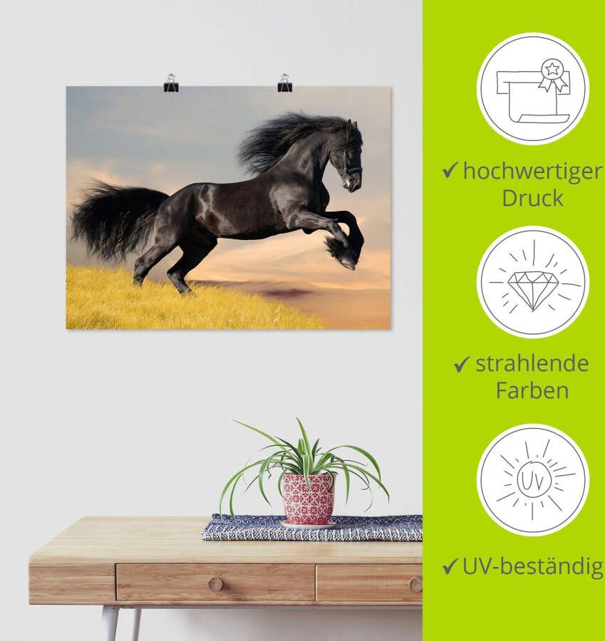 Artland Artprint Friese hengstgalop als poster in verschillende formaten maten