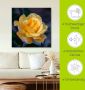 Artland Artprint Gele roos als artprint op linnen poster in verschillende formaten maten - Thumbnail 4