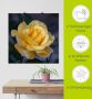 Artland Artprint Gele roos als artprint op linnen poster in verschillende formaten maten - Thumbnail 5