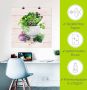 Artland Artprint Geneeskrachtige kruiden op witte achtergrond keuken als artprint van aluminium artprint voor buiten artprint op linnen poster muursticker - Thumbnail 5