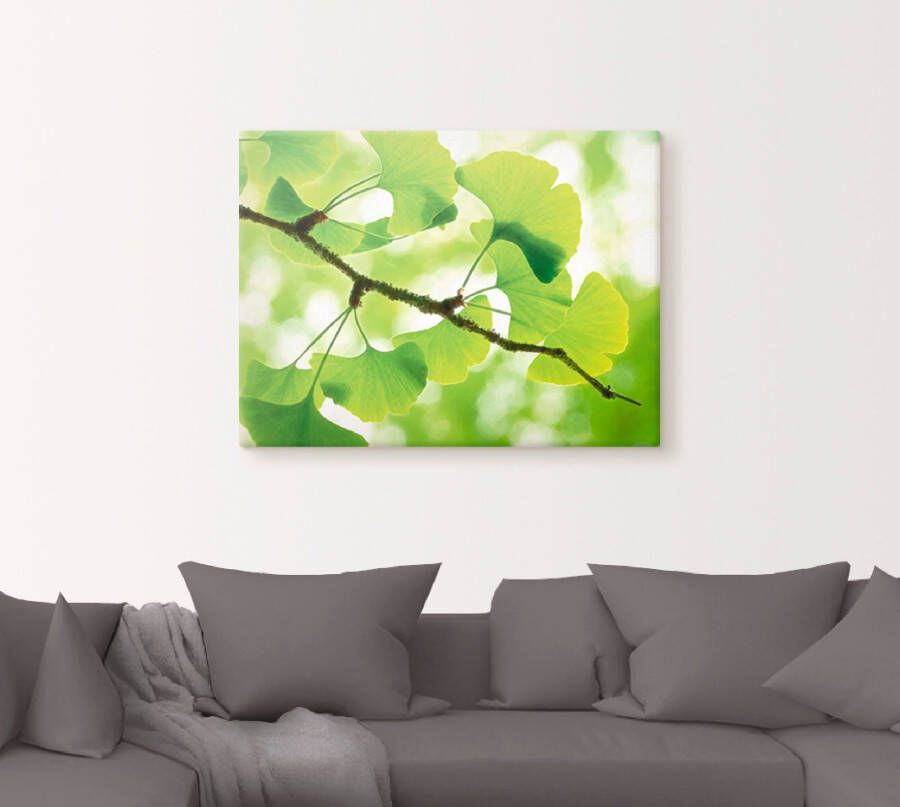 Artland Artprint Ginkgo als artprint op linnen poster in verschillende formaten maten