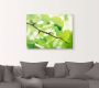 Artland Artprint Ginkgo als artprint op linnen poster in verschillende formaten maten - Thumbnail 2