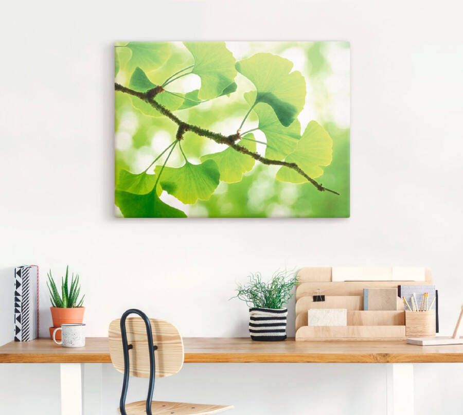 Artland Artprint Ginkgo als artprint op linnen poster in verschillende formaten maten