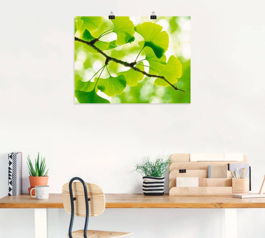 Artland Artprint Ginkgo als artprint op linnen poster in verschillende formaten maten