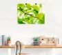 Artland Artprint Ginkgo als artprint op linnen poster in verschillende formaten maten - Thumbnail 2