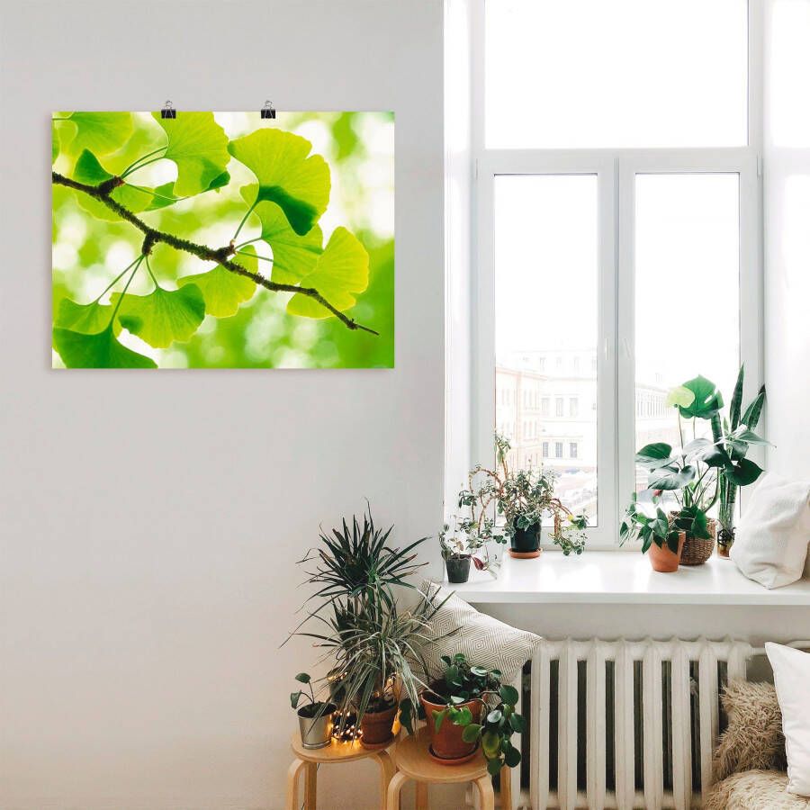 Artland Artprint Ginkgo als artprint op linnen poster in verschillende formaten maten