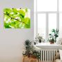 Artland Artprint Ginkgo als artprint op linnen poster in verschillende formaten maten - Thumbnail 3