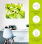 Artland Artprint Ginkgo als artprint op linnen poster in verschillende formaten maten - Thumbnail 4