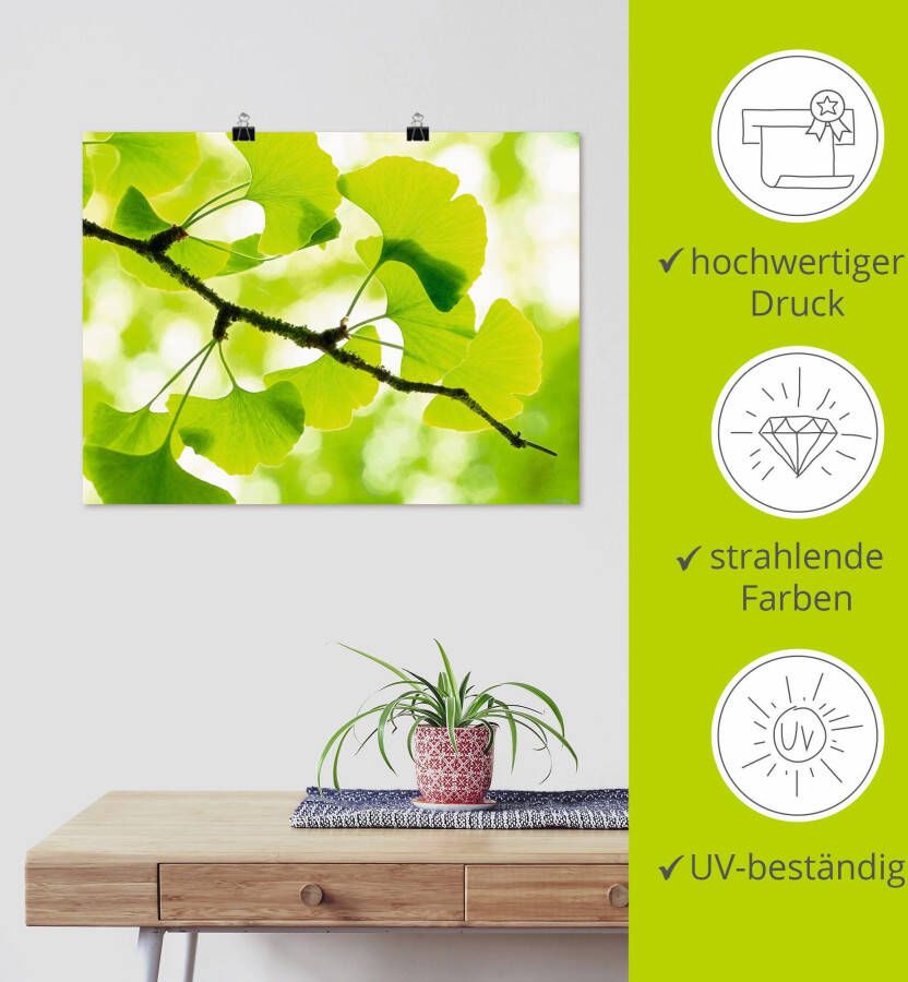 Artland Artprint Ginkgo als artprint op linnen poster in verschillende formaten maten