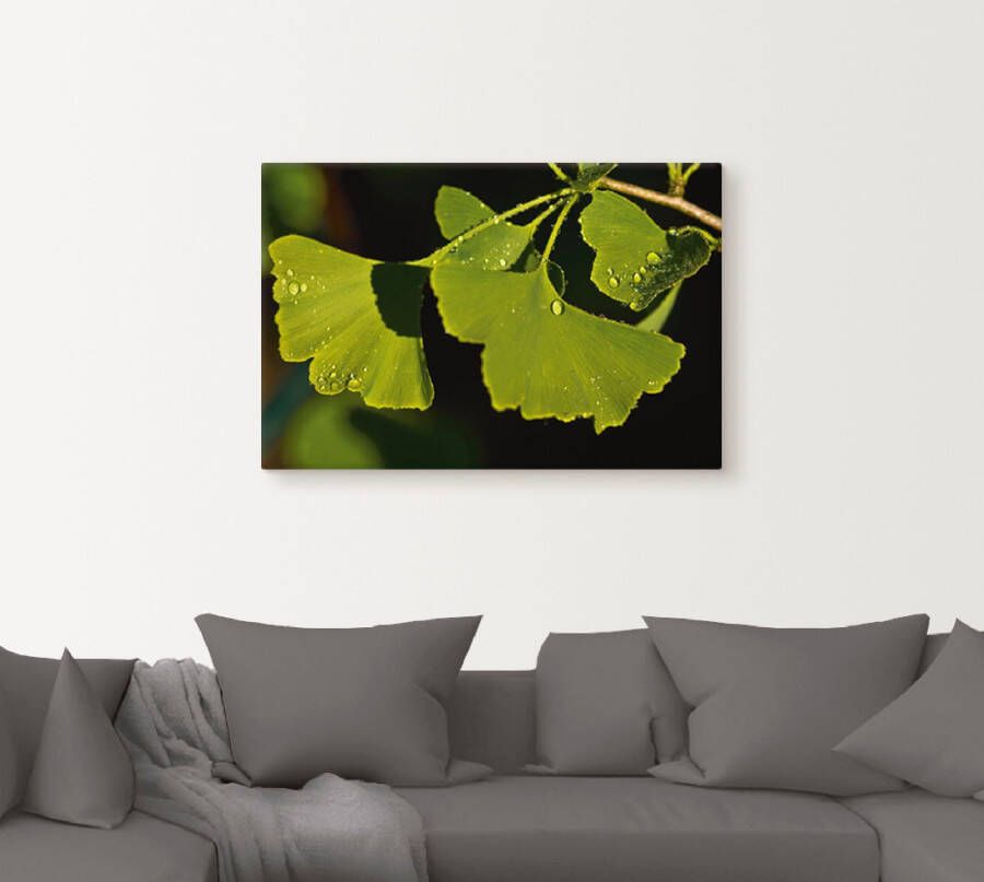 Artland Artprint Ginkgo blaadjes als artprint van aluminium artprint voor buiten poster in diverse formaten - Foto 2