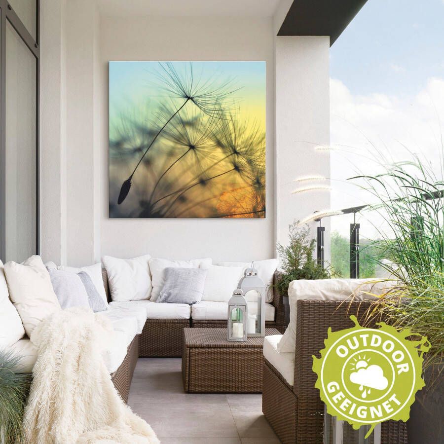 Artland Artprint Gouden zonsondergang en paardenbloemen als artprint van aluminium artprint voor buiten artprint op linnen poster muursticker