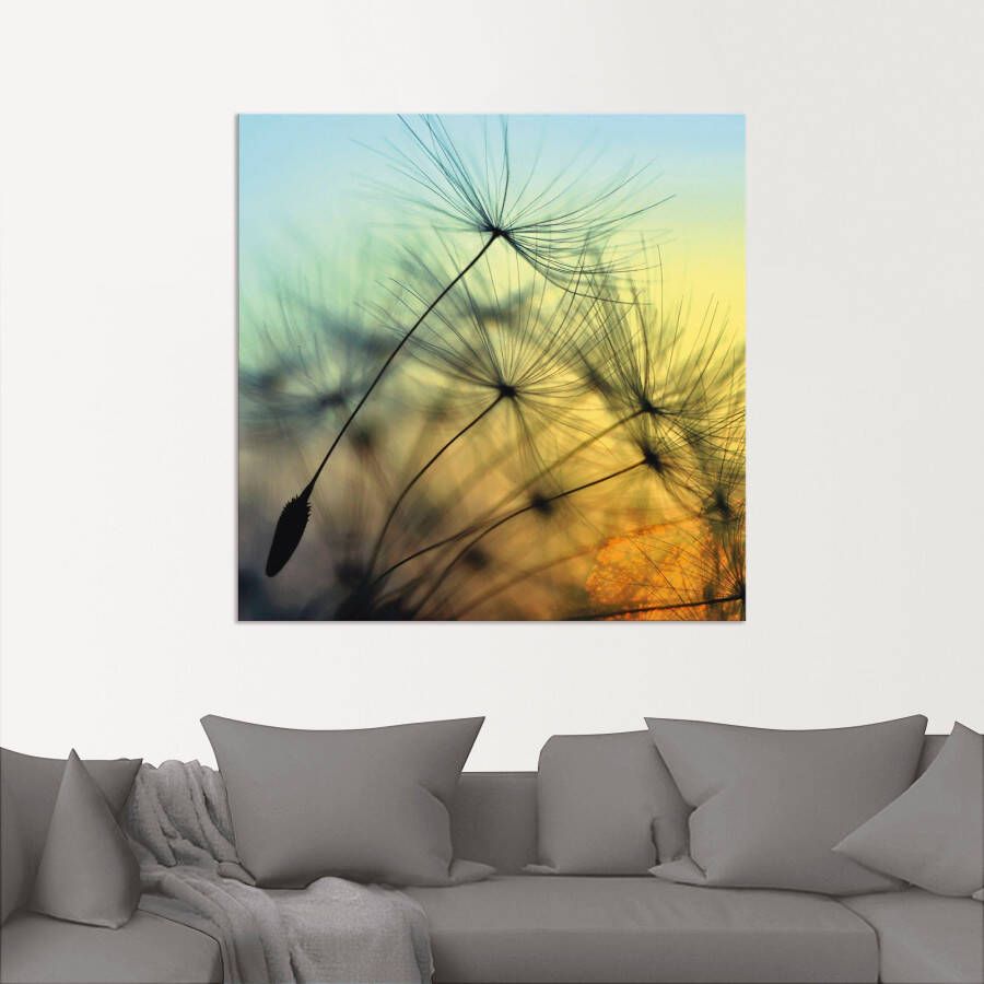 Artland Artprint Gouden zonsondergang en paardenbloemen als artprint van aluminium artprint voor buiten artprint op linnen poster muursticker