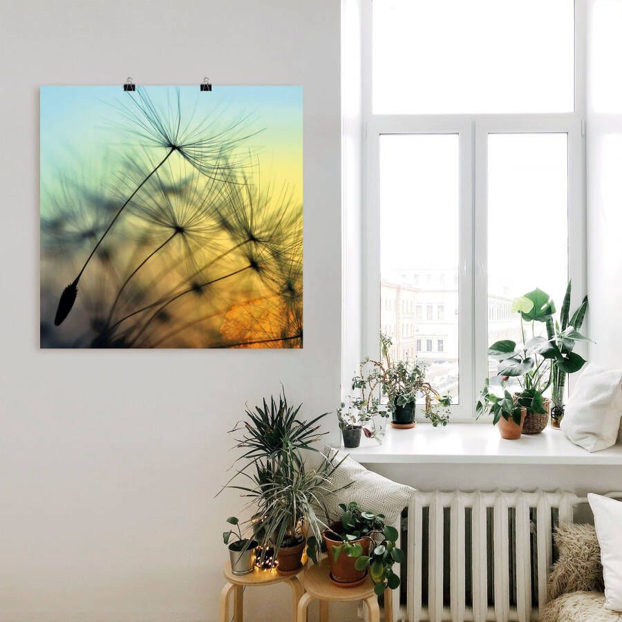 Artland Artprint Gouden zonsondergang en paardenbloemen als artprint van aluminium artprint voor buiten artprint op linnen poster muursticker