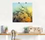 Artland Artprint Gouden zonsondergang en paardenbloemen als artprint van aluminium artprint voor buiten artprint op linnen poster muursticker - Thumbnail 4