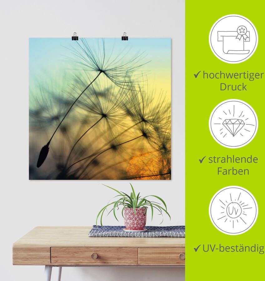 Artland Artprint Gouden zonsondergang en paardenbloemen als artprint van aluminium artprint voor buiten artprint op linnen poster muursticker