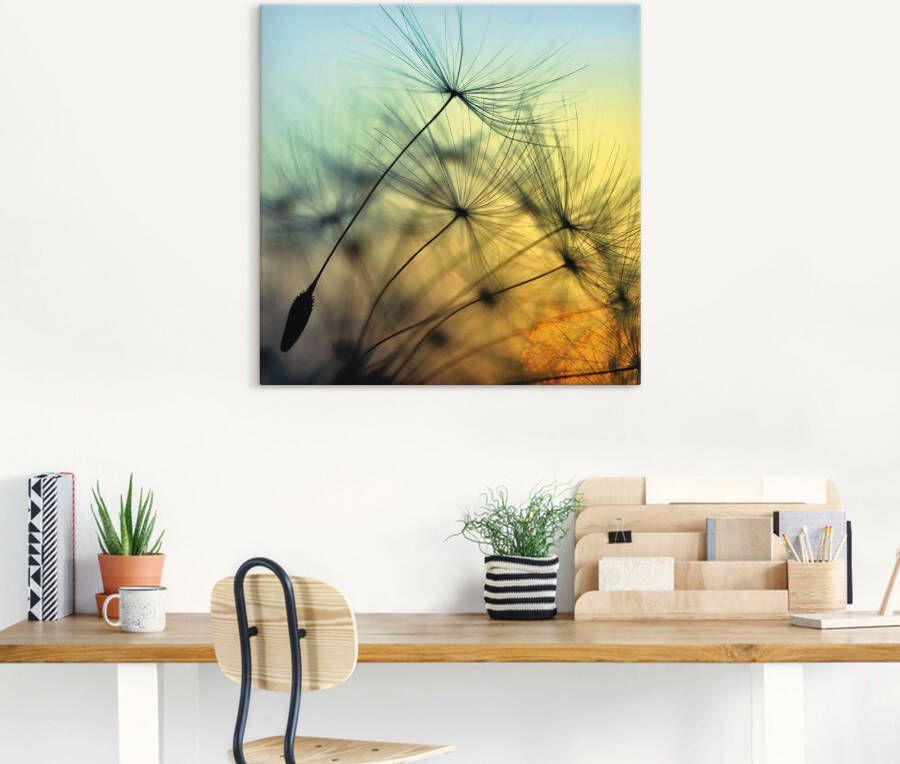 Artland Artprint Gouden zonsondergang en paardenbloemen als artprint van aluminium artprint voor buiten artprint op linnen poster muursticker