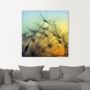 Artland Artprint Gouden zonsondergang en paardenbloemen als artprint van aluminium artprint voor buiten artprint op linnen poster muursticker - Thumbnail 3