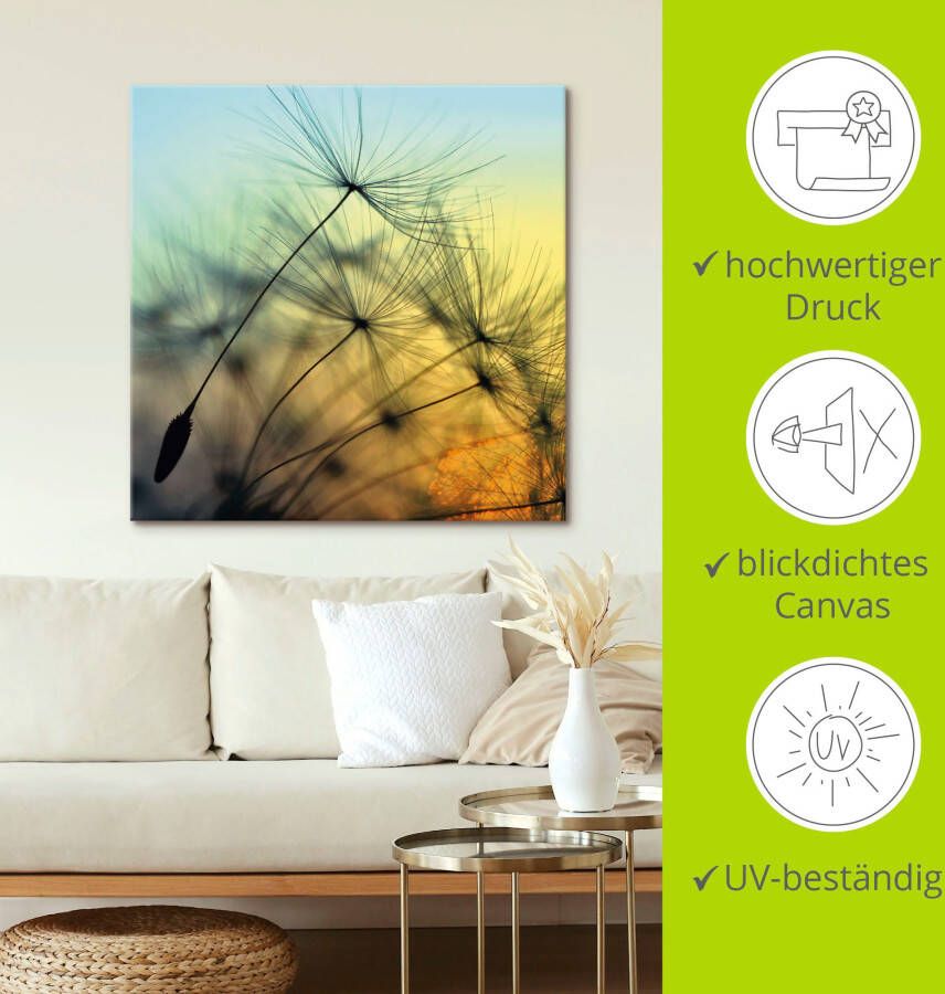 Artland Artprint Gouden zonsondergang en paardenbloemen als artprint van aluminium artprint voor buiten artprint op linnen poster muursticker