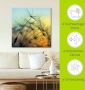 Artland Artprint Gouden zonsondergang en paardenbloemen als artprint van aluminium artprint voor buiten artprint op linnen poster muursticker - Thumbnail 6