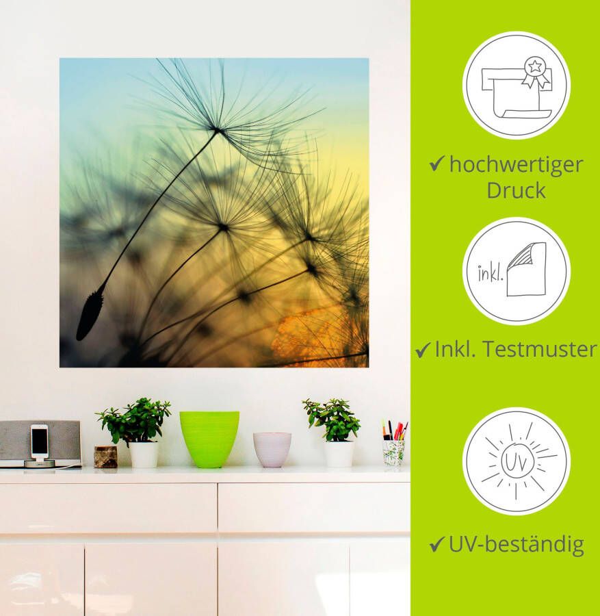 Artland Artprint Gouden zonsondergang en paardenbloemen als artprint van aluminium artprint voor buiten artprint op linnen poster muursticker