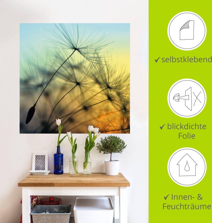 Artland Artprint Gouden zonsondergang en paardenbloemen als artprint van aluminium artprint voor buiten artprint op linnen poster muursticker