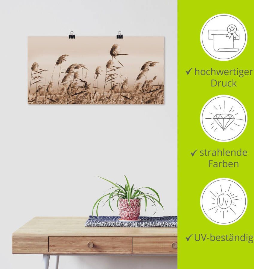 Artland Artprint Grassen als artprint van aluminium artprint voor buiten artprint op linnen poster muursticker