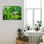 Artland Artprint Groene achtergrond met gras als artprint op linnen poster muursticker in verschillende maten - Thumbnail 4