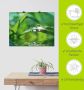 Artland Artprint Groene achtergrond met gras als artprint op linnen poster muursticker in verschillende maten - Thumbnail 6