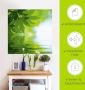 Artland Artprint Groene blaadjes reflecteren in het water als artprint op linnen poster muursticker in verschillende maten - Thumbnail 5