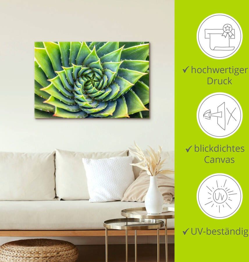 Artland Artprint Groene spiraal als artprint van aluminium artprint op linnen muursticker of poster in verschillende maten